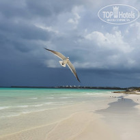 фото из отзыва ID 2177364