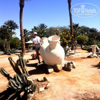 фото из отзыва ID 2177408