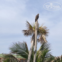 фото из отзыва ID 2177460