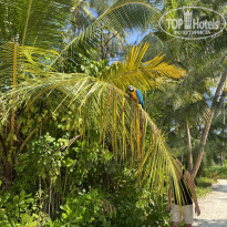 фото из отзыва ID 2177512