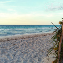 фото из отзыва ID 2177531