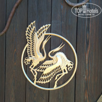 фото из отзыва ID 2177688