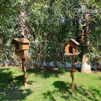 фото из отзыва ID 2177714