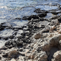 фото из отзыва ID 2177748