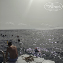 фото из отзыва ID 2177824