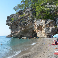 фото из отзыва ID 2177925