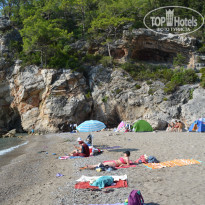 фото из отзыва ID 2177925