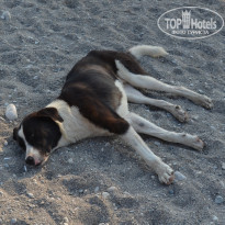 фото из отзыва ID 2177925