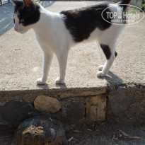 фото из отзыва ID 2177925