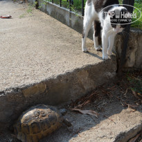 фото из отзыва ID 2177925