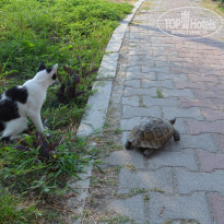 фото из отзыва ID 2177925