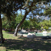 фото из отзыва ID 2177925