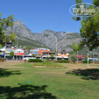 фото из отзыва ID 2177925