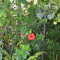 фото из отзыва ID 2177925