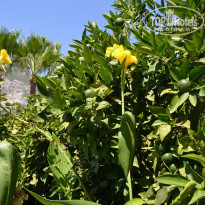 фото из отзыва ID 2177925