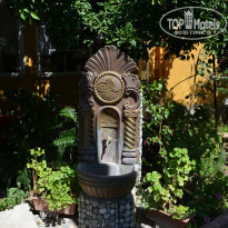 фото из отзыва ID 2177925