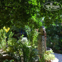 фото из отзыва ID 2177925