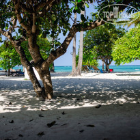 фото из отзыва ID 2177934