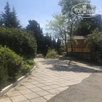 фото из отзыва ID 2178014