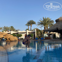 фото из отзыва ID 2177413