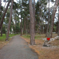 фото из отзыва ID 2178161