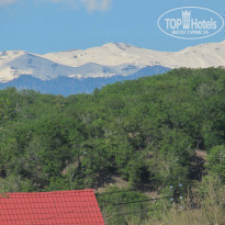 фото из отзыва ID 2178161