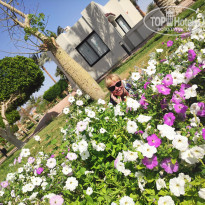 фото из отзыва ID 2178291