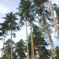 фото из отзыва ID 2178312