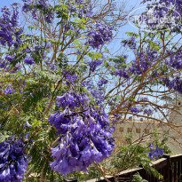 фото из отзыва ID 2178401