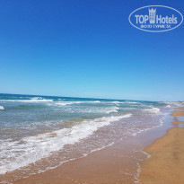 фото из отзыва ID 2178421