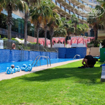 фото из отзыва ID 2178615