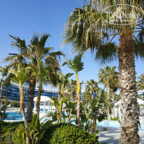 фото из отзыва ID 2178617