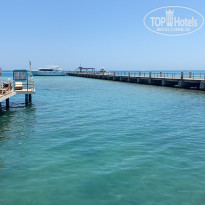 фото из отзыва ID 2178752