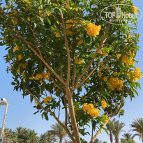 фото из отзыва ID 2178752