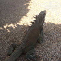 фото из отзыва ID 2178730