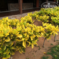 фото из отзыва ID 2178905