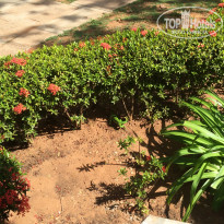 фото из отзыва ID 2178905