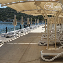 фото из отзыва ID 2178950