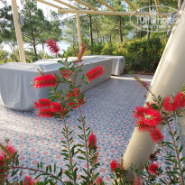 фото из отзыва ID 2178602