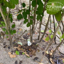 фото из отзыва ID 2178956