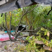 фото из отзыва ID 2178956