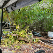 фото из отзыва ID 2178956