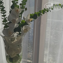 фото из отзыва ID 2179008