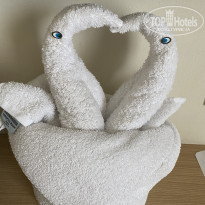 фото из отзыва ID 2177024