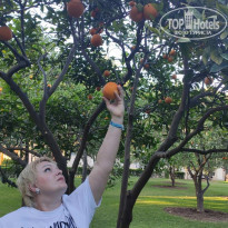 фото из отзыва ID 2179270