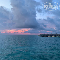 фото из отзыва ID 2179324