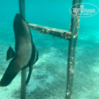 фото из отзыва ID 2179324