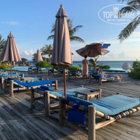 фото из отзыва ID 2179324