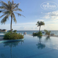 фото из отзыва ID 2179324