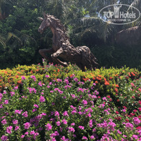 фото из отзыва ID 2179324